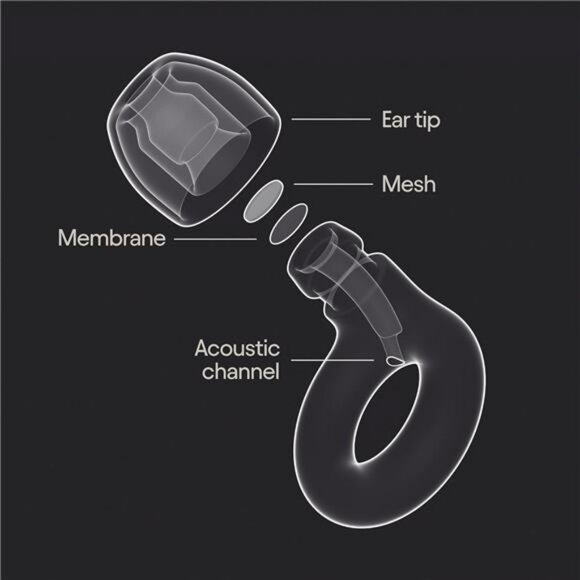 High Fidelity Noise Reduction Earplugs for Concerts Festivals Musicians DJs - Picture 6 of 7